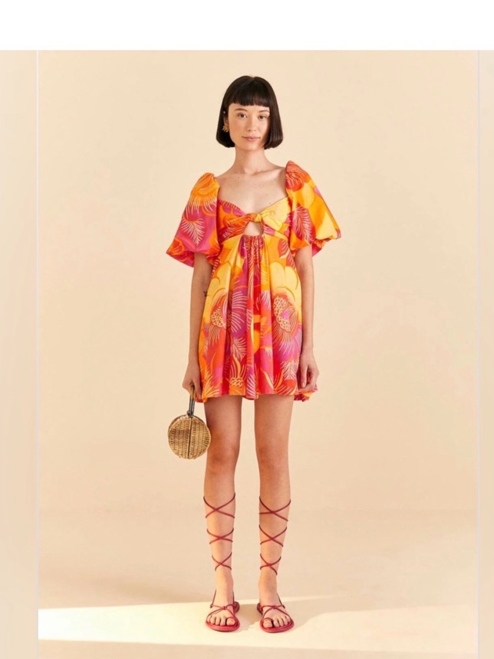 New Farm Rio Summer Garden Ombre Mini Dress Floral Short Puff Sleeve Sz S